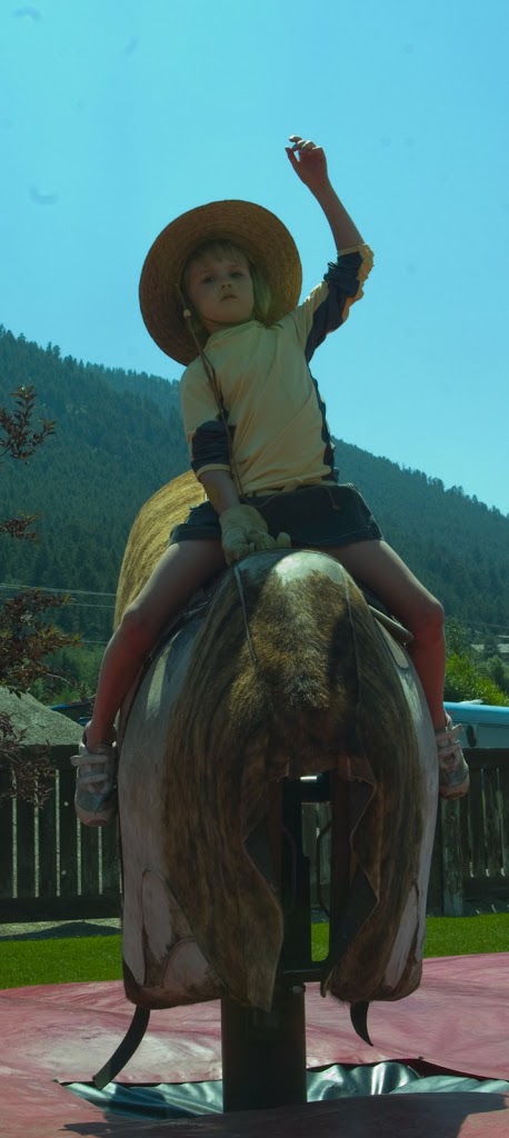Teton County Fair