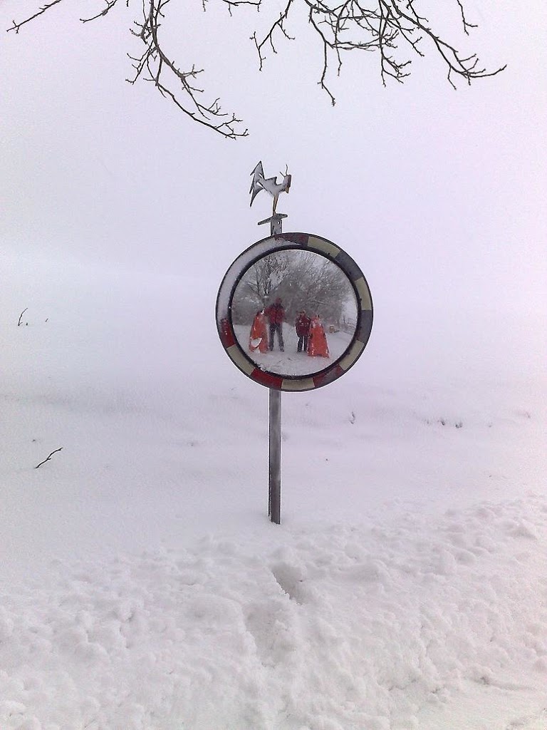 News from Switzerland