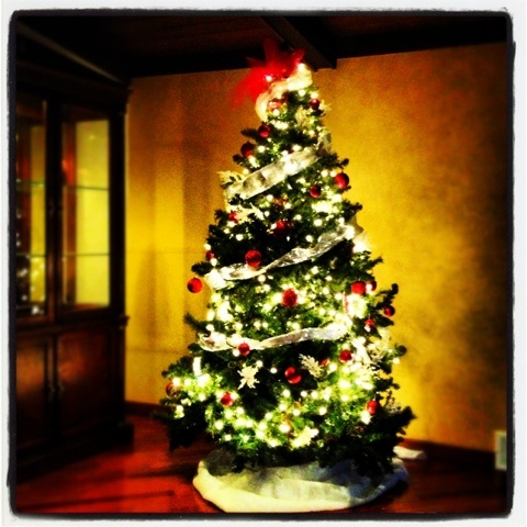 The Family Christmas Tree