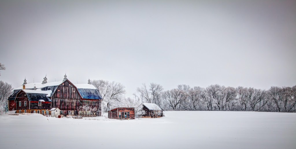 Winter Barns