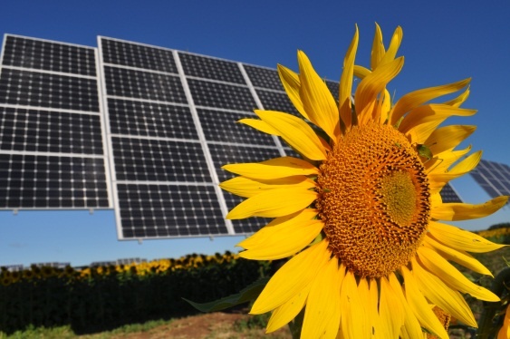 Going Solar!