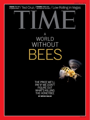 A World Without Bees