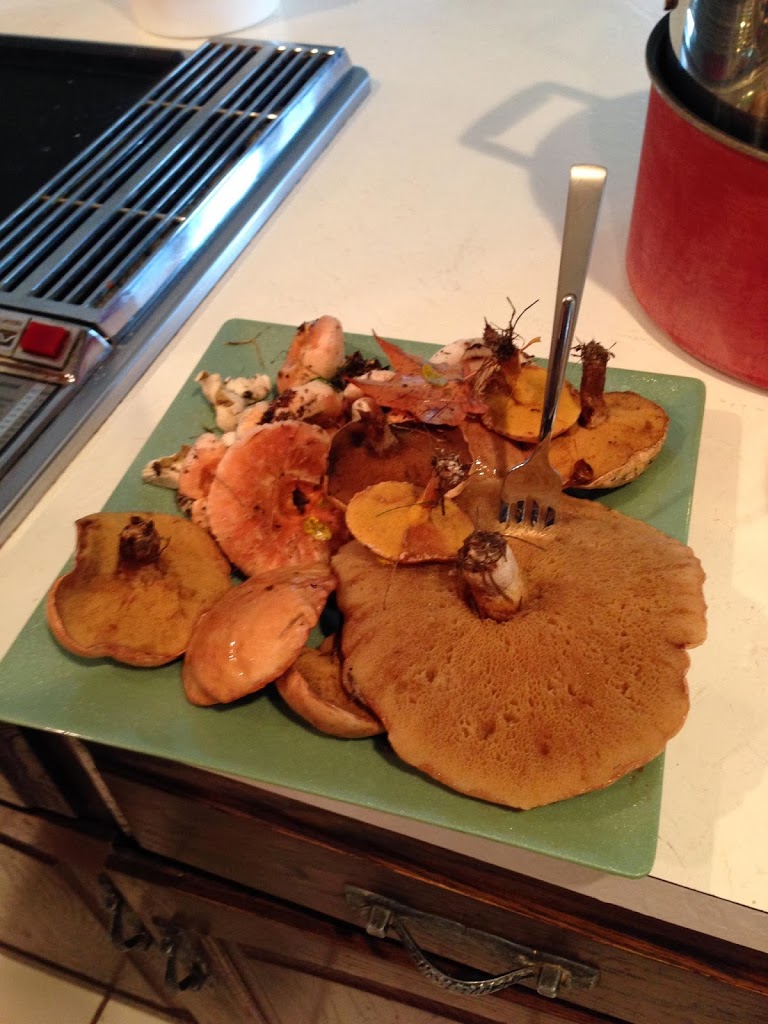 Delicious or Deadly….