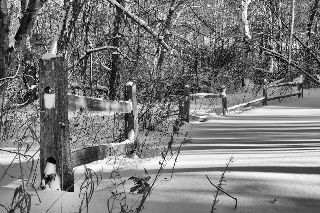 Winter!