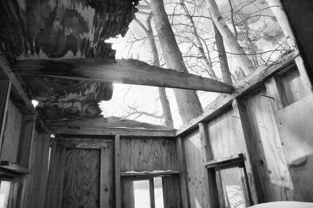 The Ice Hut
