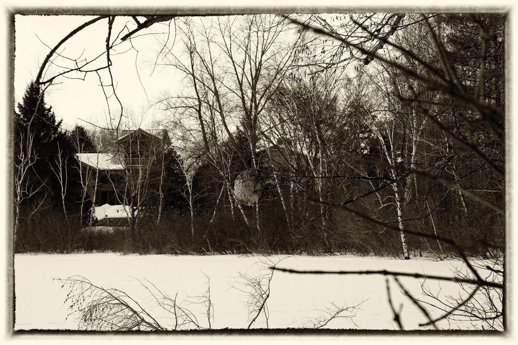Winter View
