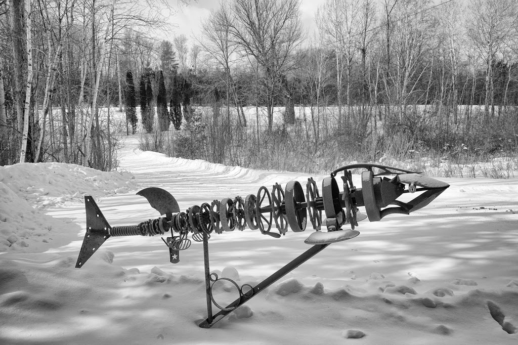 Rusted History