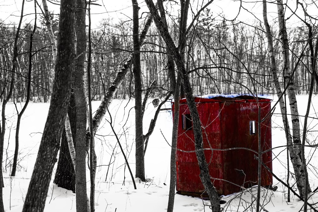 The Ice Hut