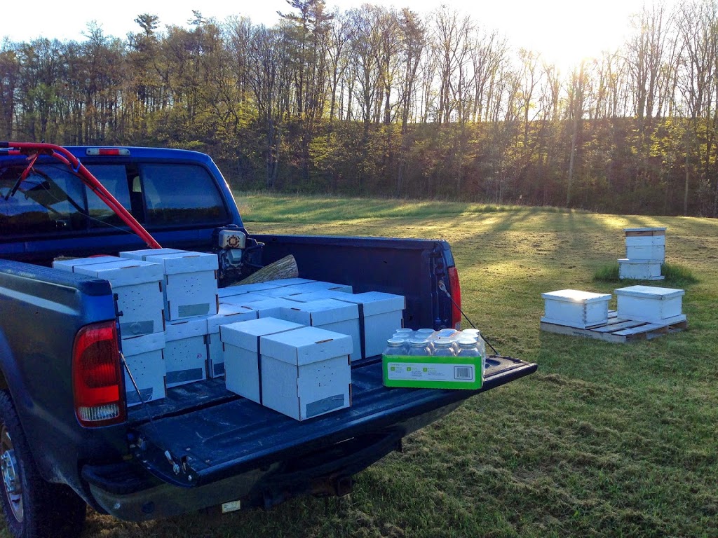 Steinthal Honey Is On It’s Way!