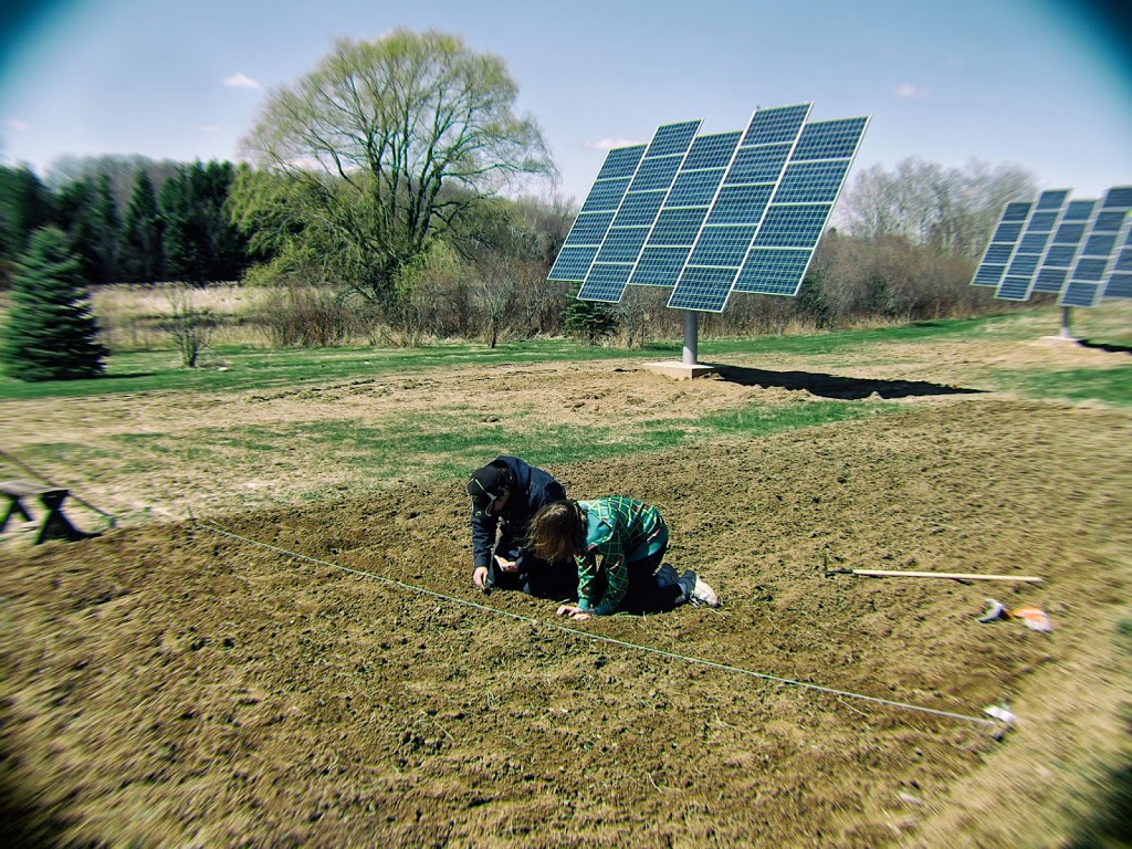 Spring Planting