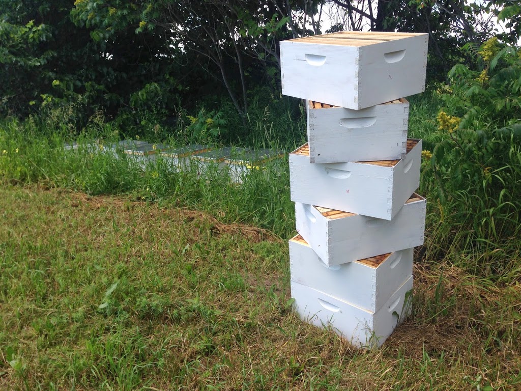 Expanding hives in Door County
