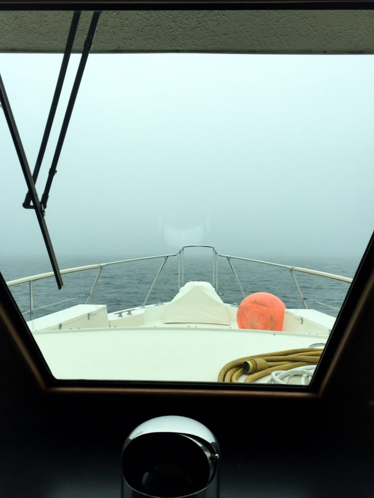 The Sheboygan Skyline from about 30 yards offshore.  Red Light is on the right.  See it?