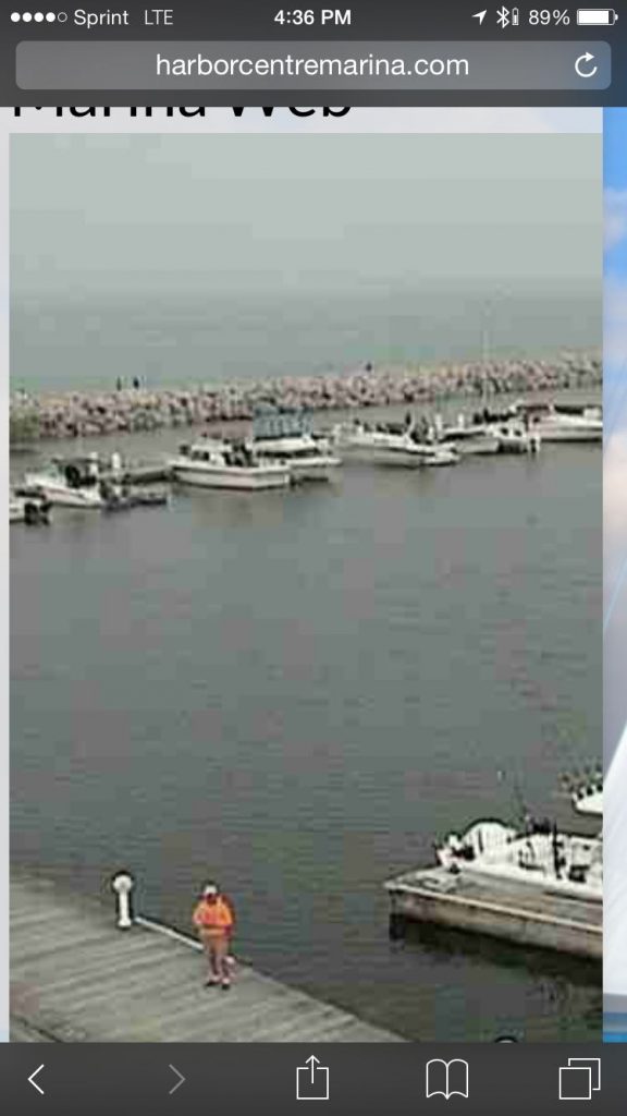 A marina webcam selfie