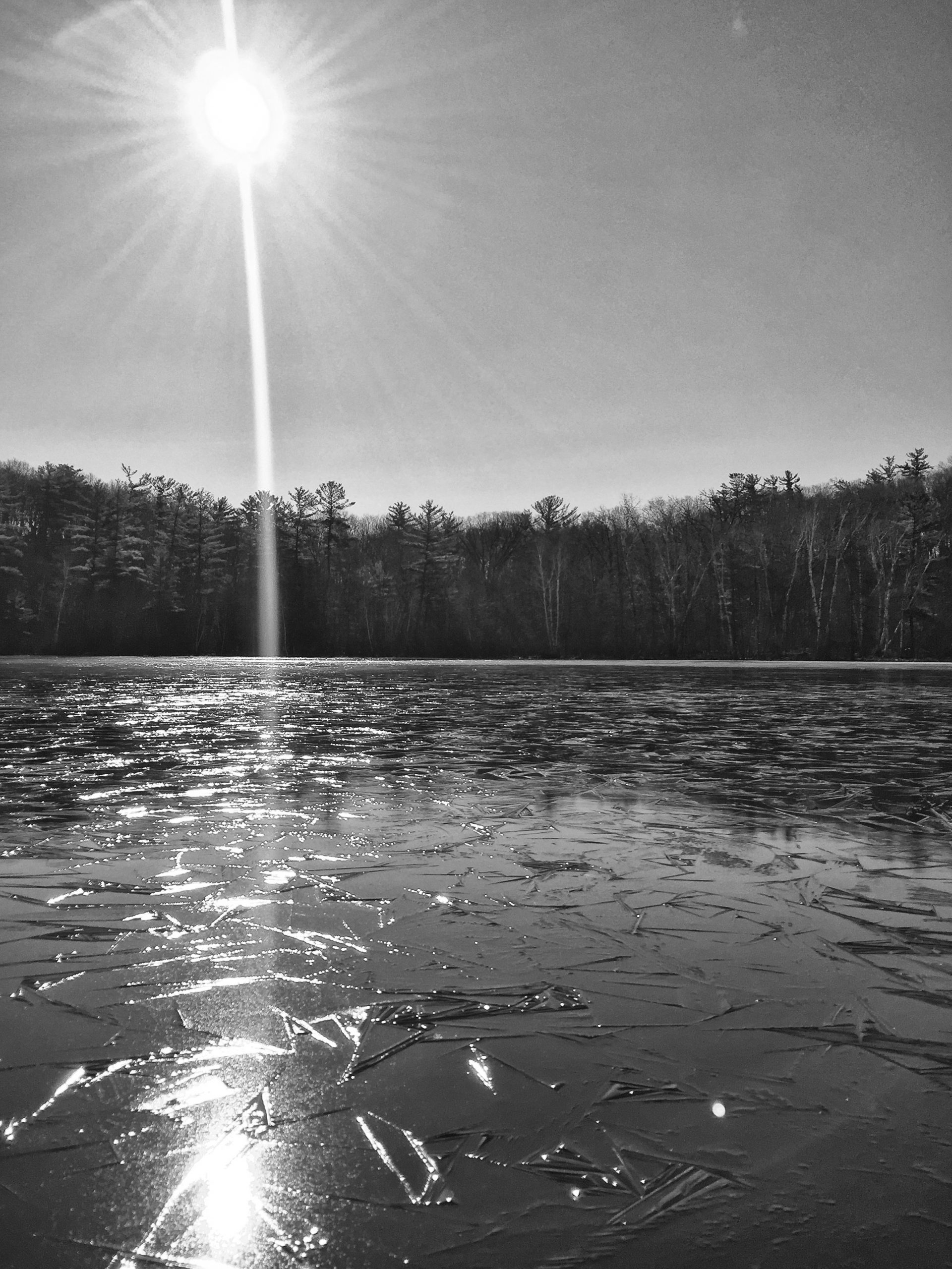 The First Day of Spring!