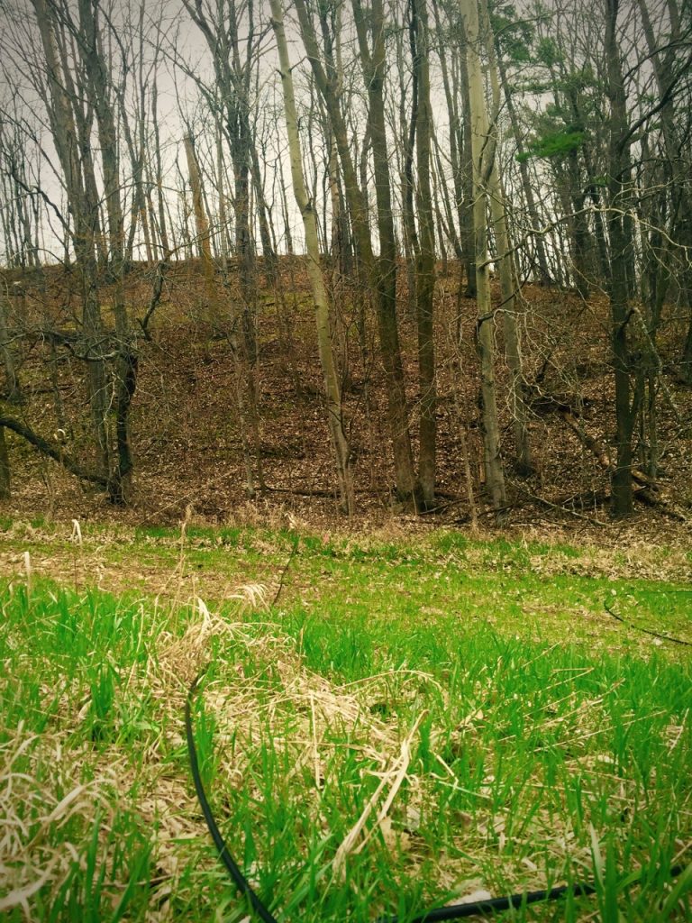 The not so enjoyable task of pulling cable up a 100+ foot hill, through dense woods in the rain...