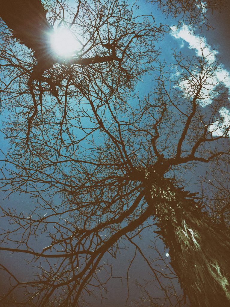 Highcliff-19