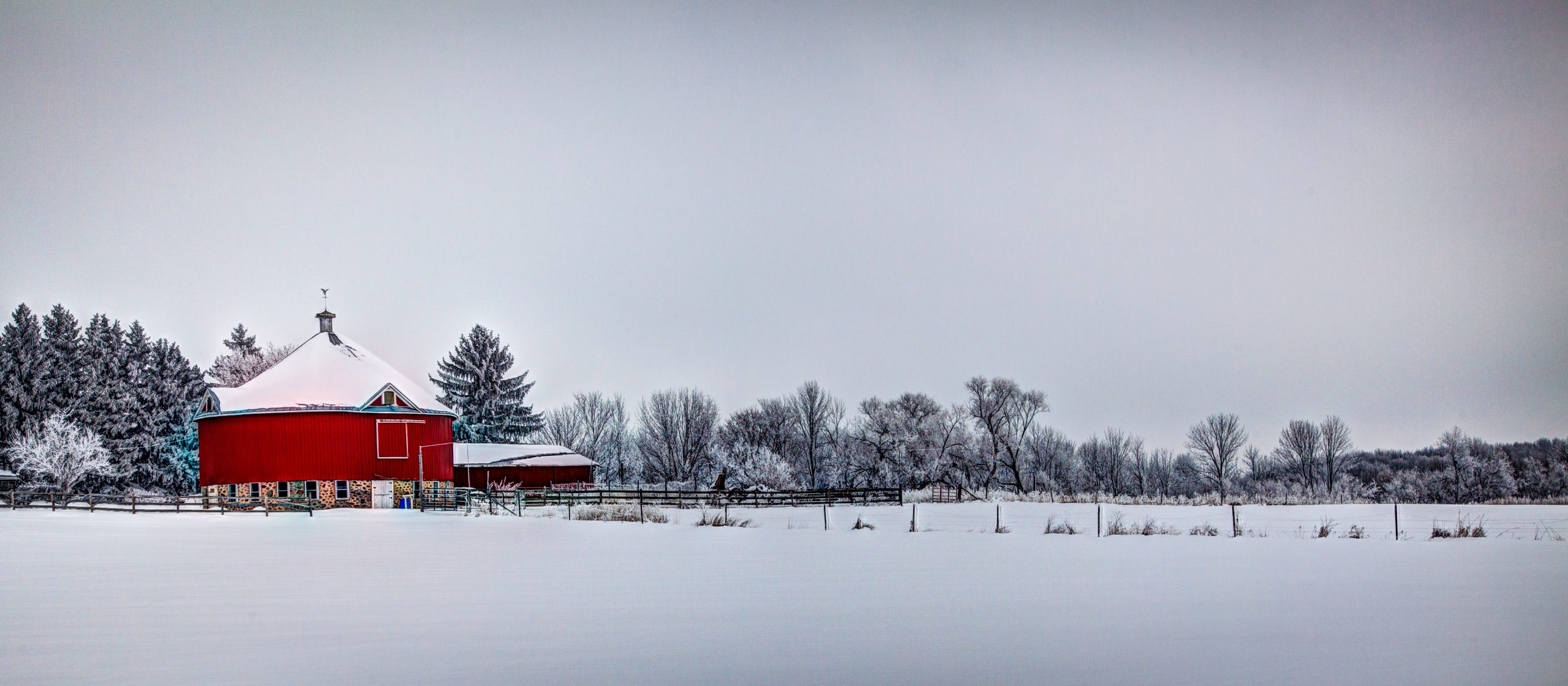 A Wintery Day
