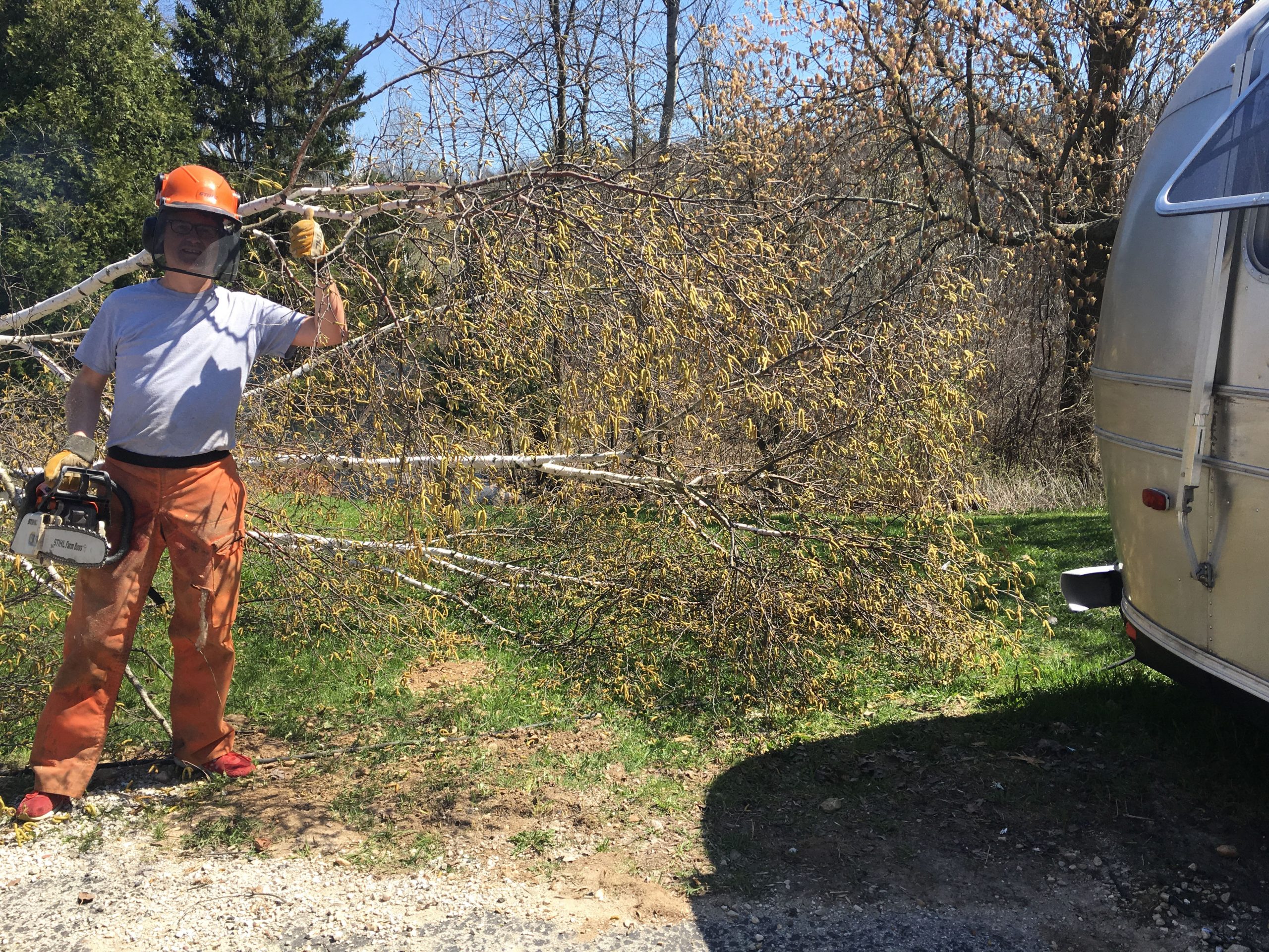 Chainsaw Challenges