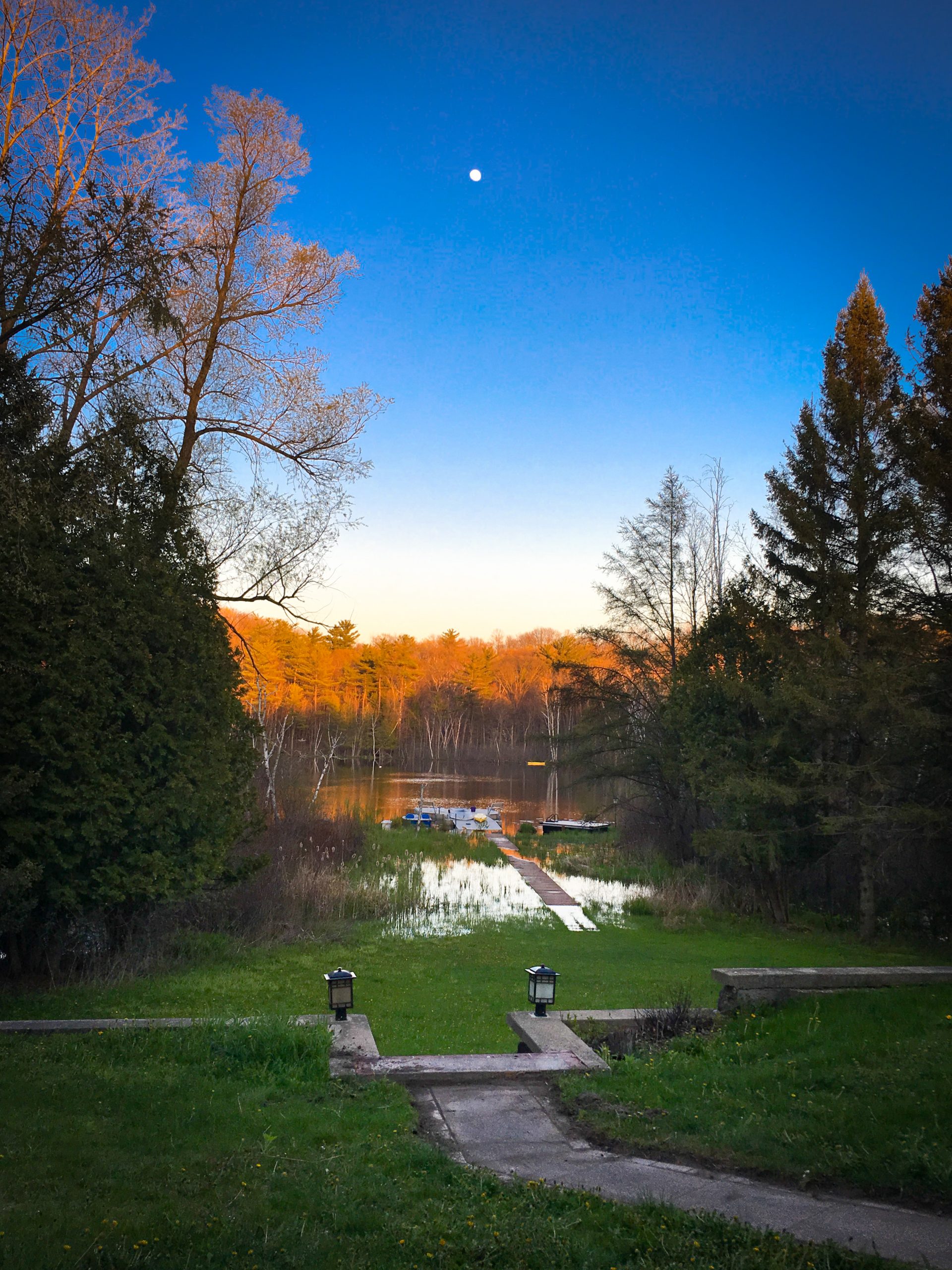 Evening Moonrise