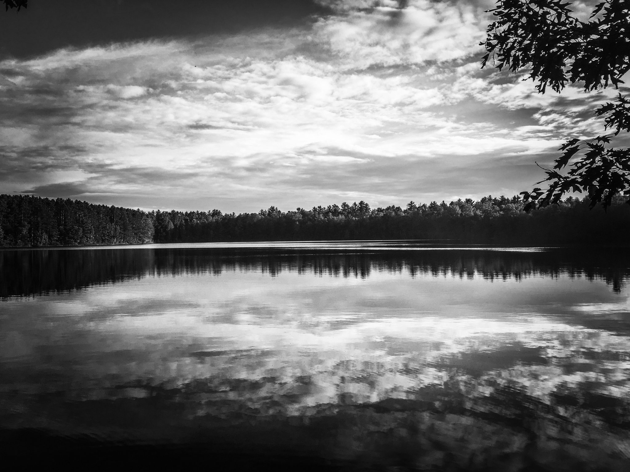 Firefly Lake - The Peterburns