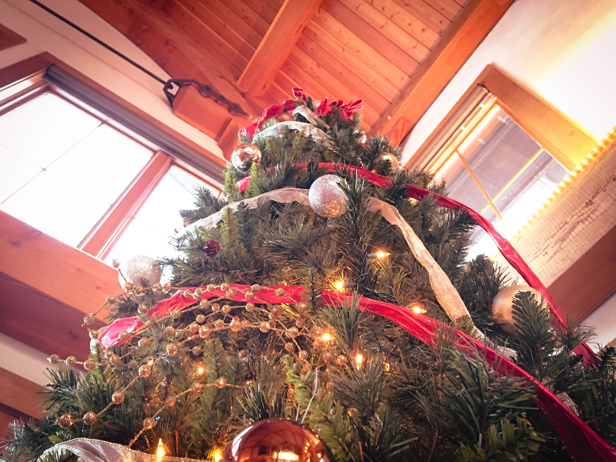 Christmas Preparation at The Lodge
