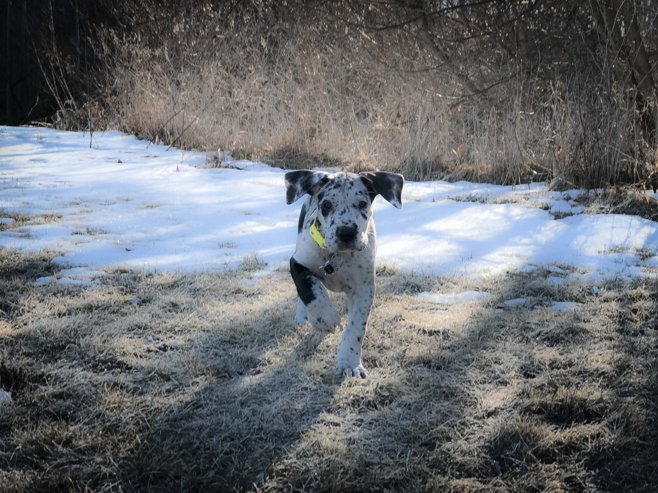 New Explorations and a Vet Visit Too!