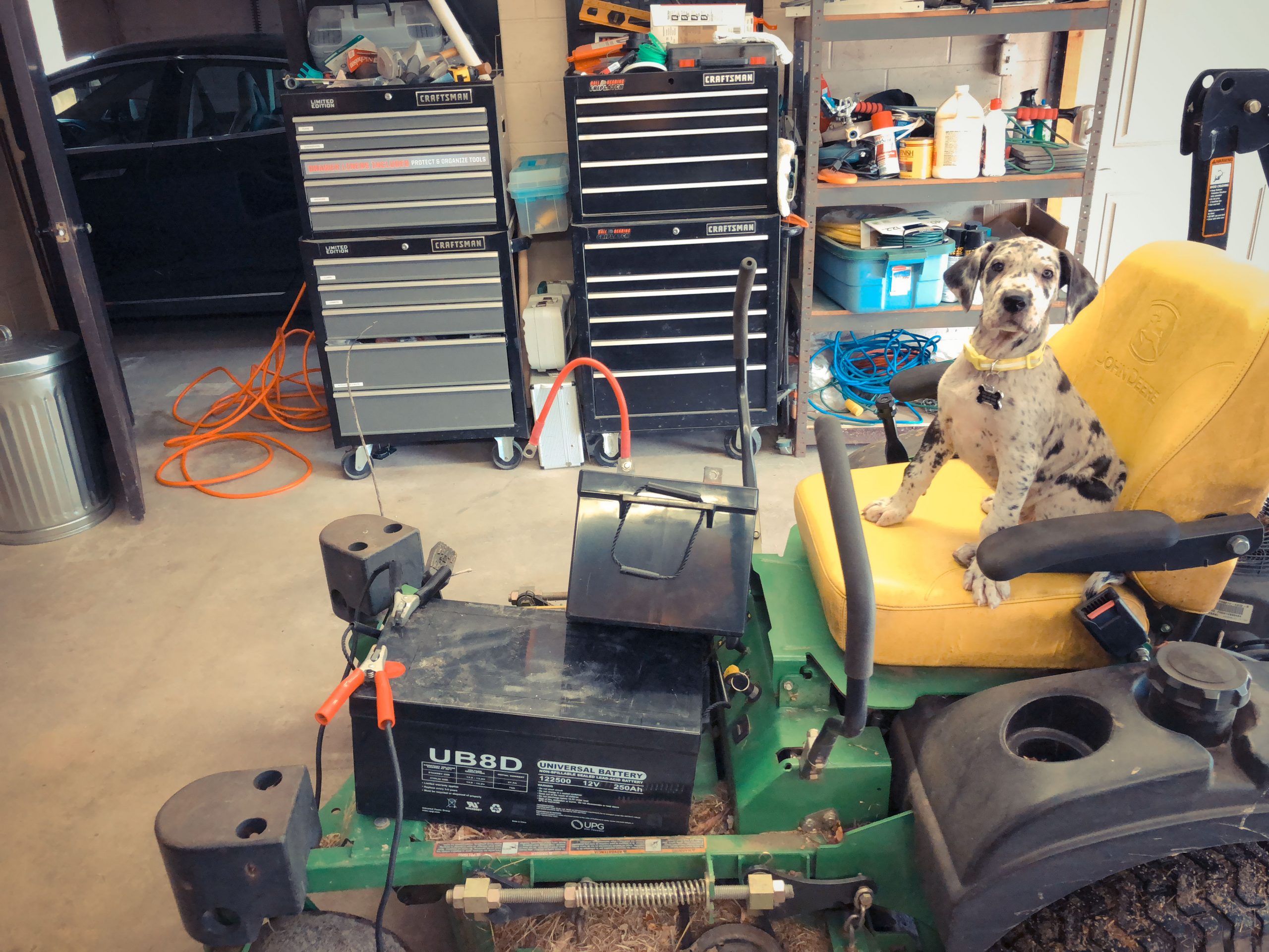 Willow and the Dreaded 334 Pound Batteries