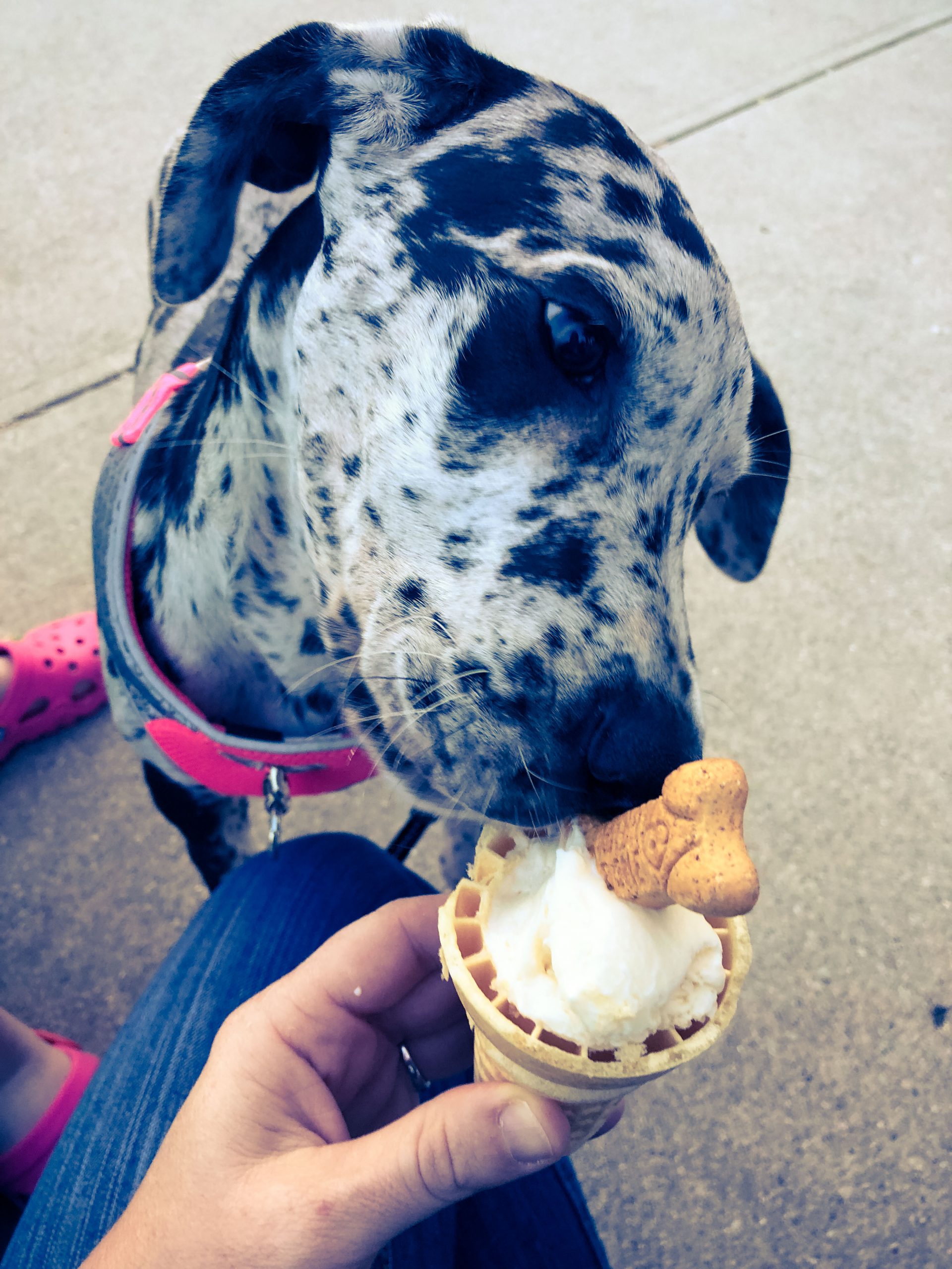 Willow’s First Leroy Cup!