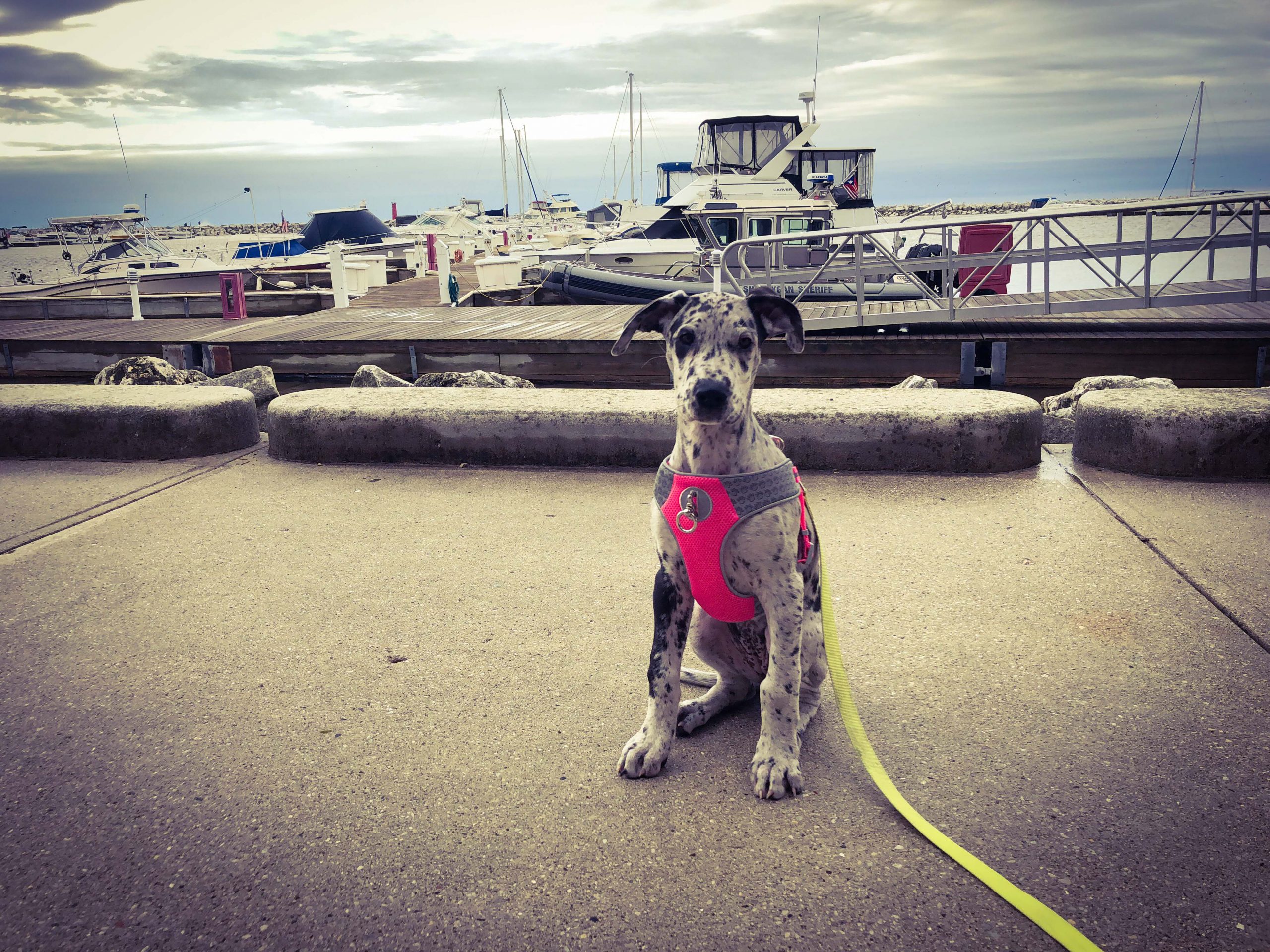 Willow’s First Marina Weekend (and her first day of school!)