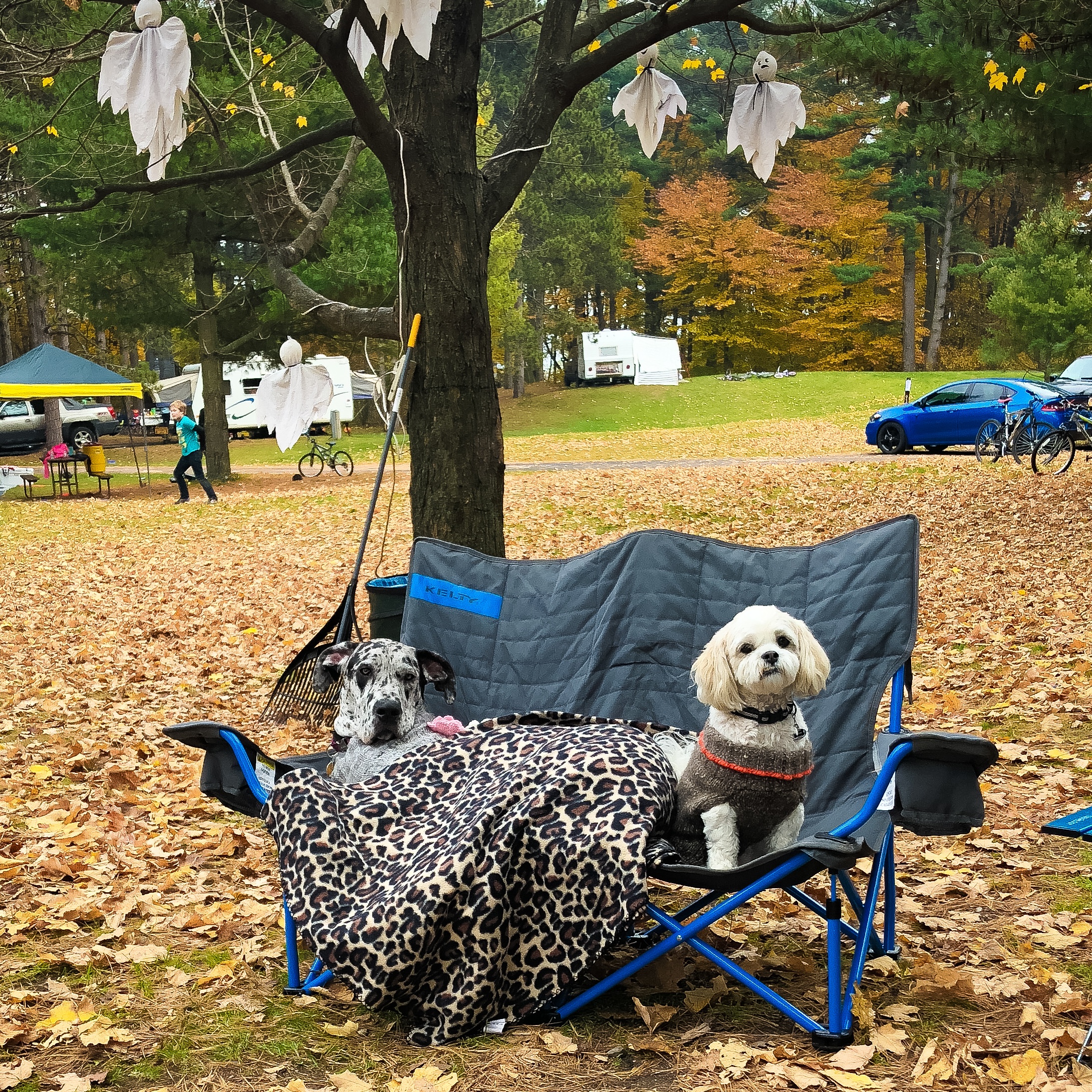 Halloween at Kohler Andrae State Park