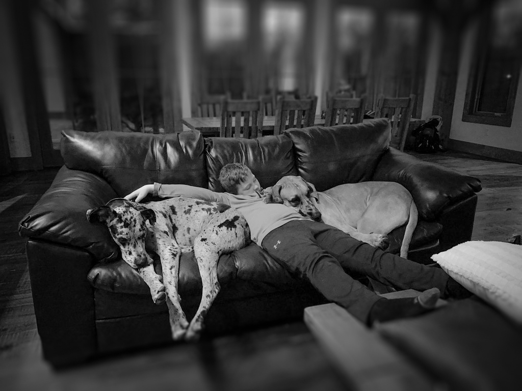 The Perfect Ending to a Perfect Day