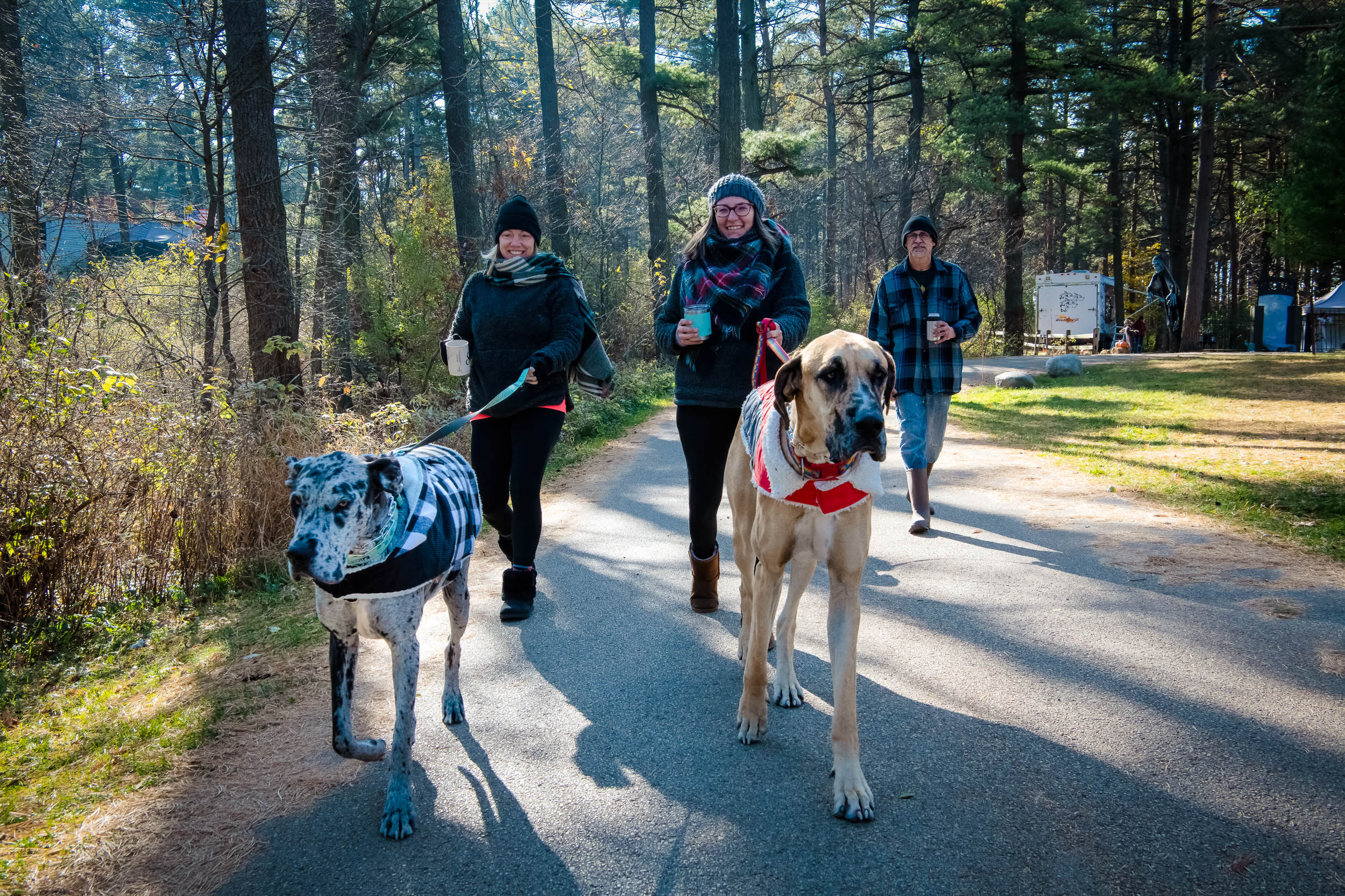 Camping Season Ends on Halloween