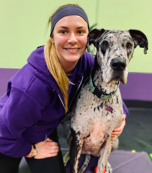 The Dog of the Month