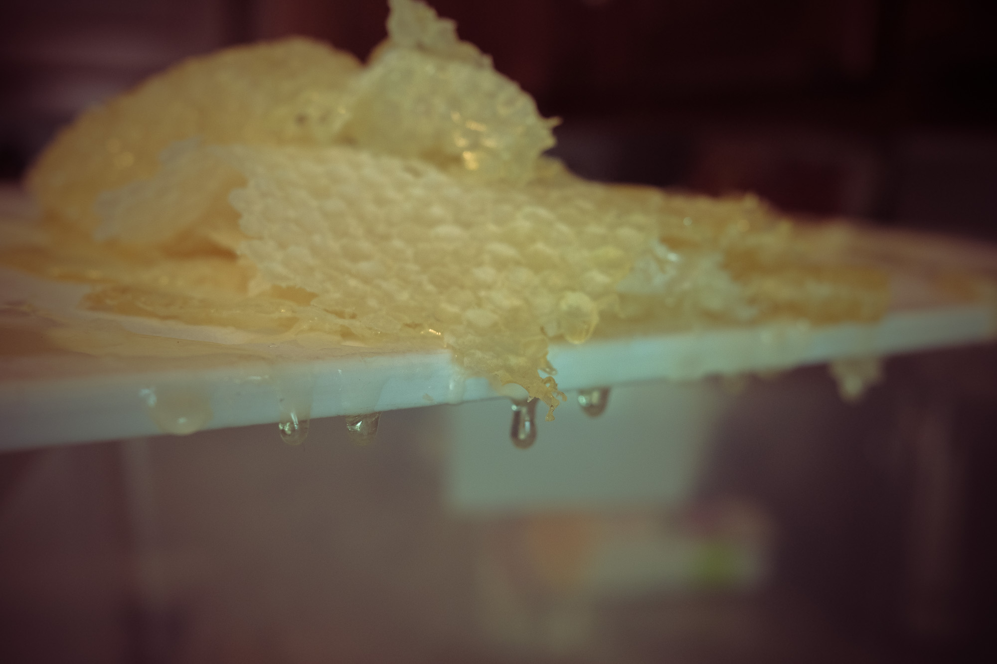 A Queenless Hive