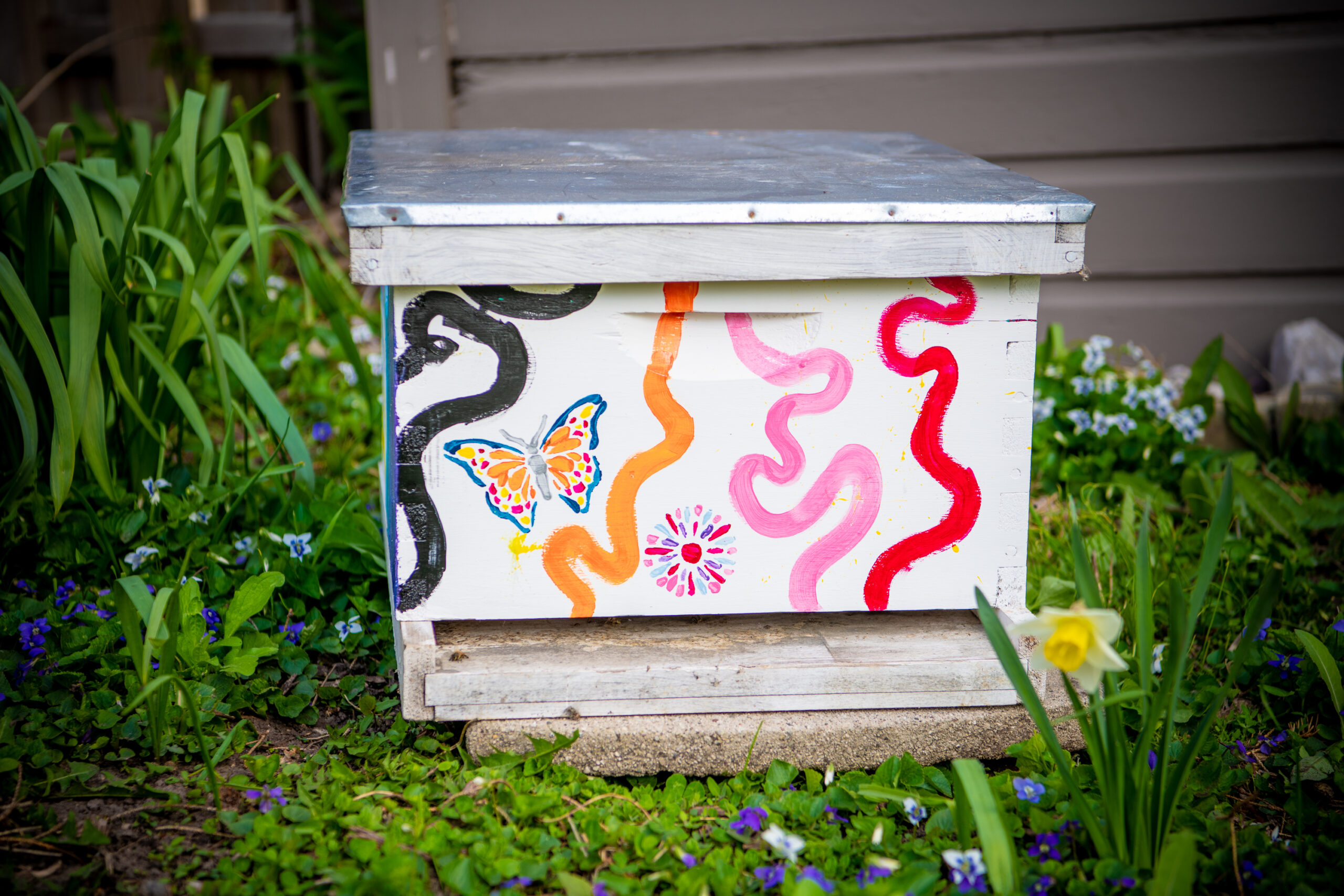 New Bees Are Here