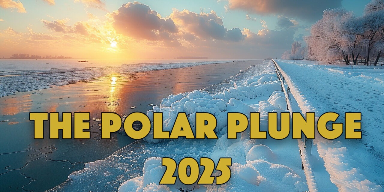 The Polar Plunge