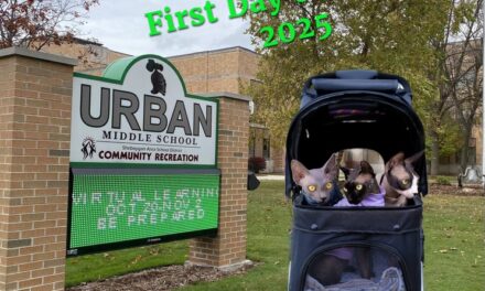The First Day of School