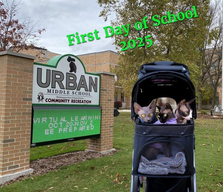 The First Day of School