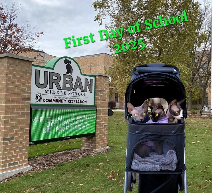 The First Day of School